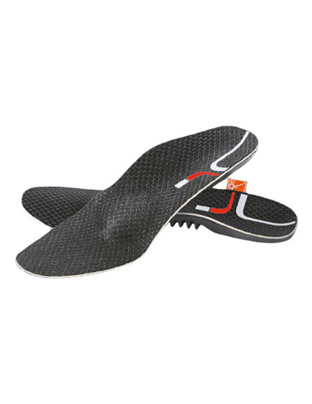 PODIFER20 PLANT FLEB C/BARRA36