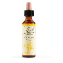 BACH ORIG 20ML