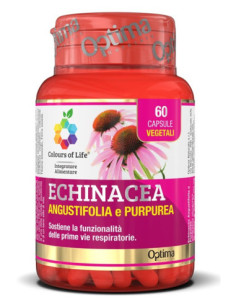 ECHINACEA 60CPS COLOURS