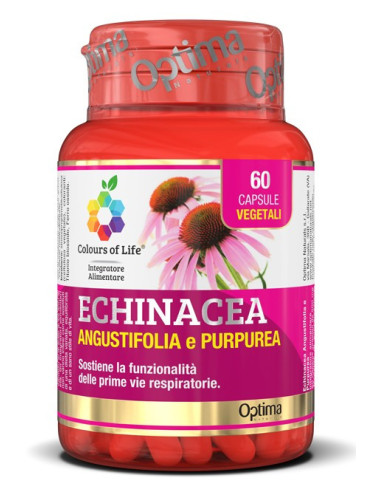 ECHINACEA 60CPS COLOURS