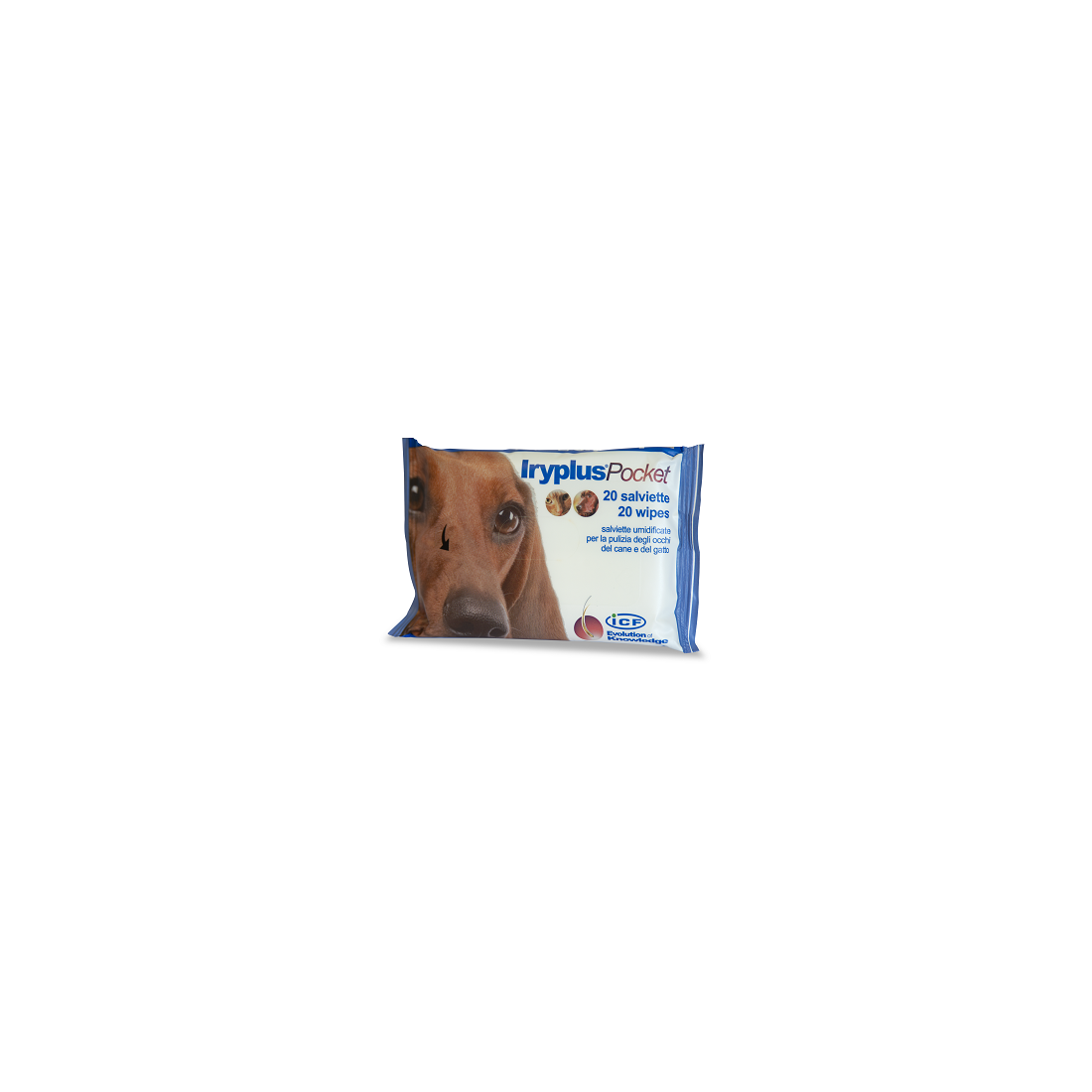 IRYPLUS POCKET SALVIETTINE 20P
