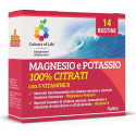 VIT B 14BUST