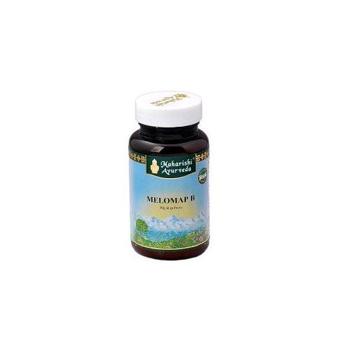 MELOMAP B POLVERE 30G