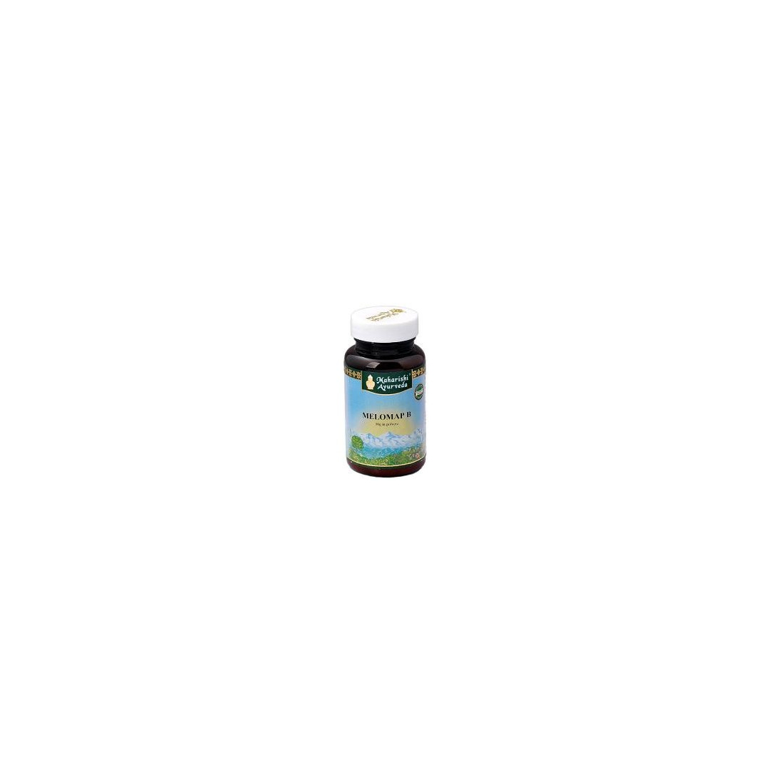 MELOMAP B POLVERE 30G