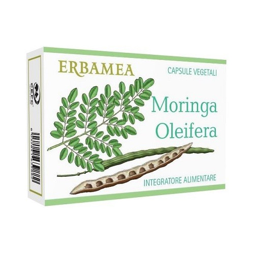 MORING OLEIFERA 24CPS