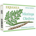 MORING OLEIFERA 24CPS