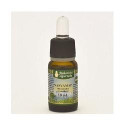 NASYAMAP GOCCE 10ML