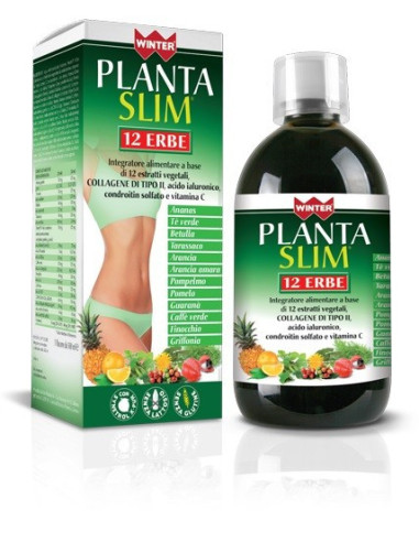 WINTER PLANTA SLIM 12ERBE500ML