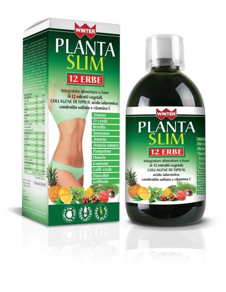 WINTER PLANTA SLIM 12ERBE500ML