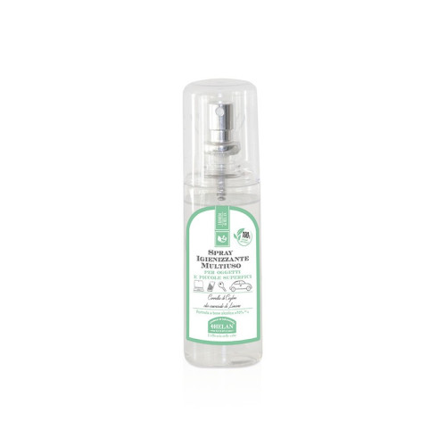 THE MOST COMMONLY USED HYGIENE SPRAY