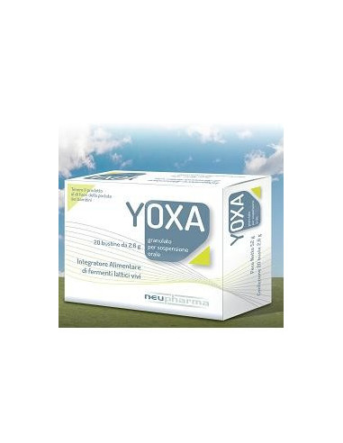 YOXA 20BUSTINE 2,6G