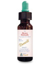 BRAVE REMEDY 10ML