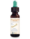 DETERMINATION REMEDY 10ML