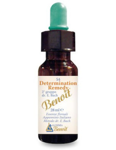 DETERMINATION REMEDY 28ML