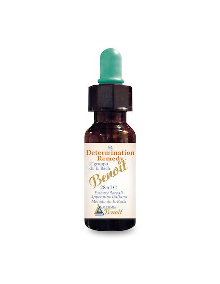 DETERMINATION REMEDY 28ML