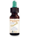DETERMINATION REMEDY 28ML