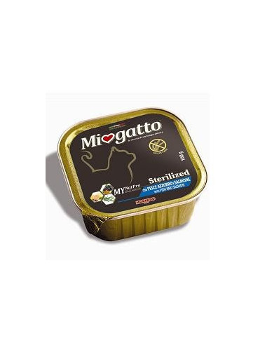 MIOGATTO STERIL P AZZ/SALM 100