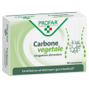 PROFAR CARBONE VEGETALE 80CPR