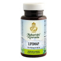 LIPOP 120CPR