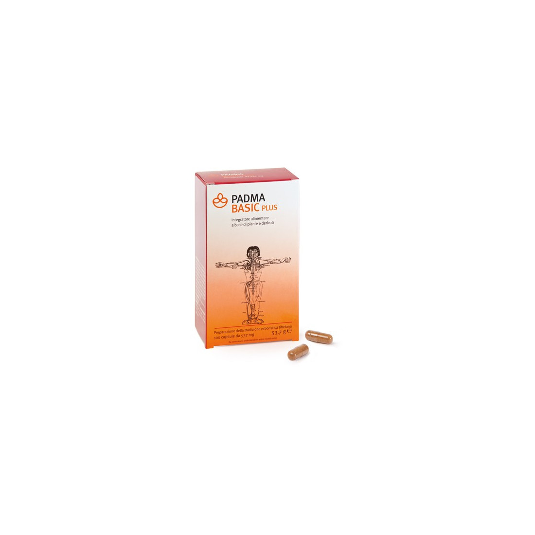PADMA BASIC PLUS 100CPS