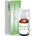 AMOXICILLIN AND ITS SALTS