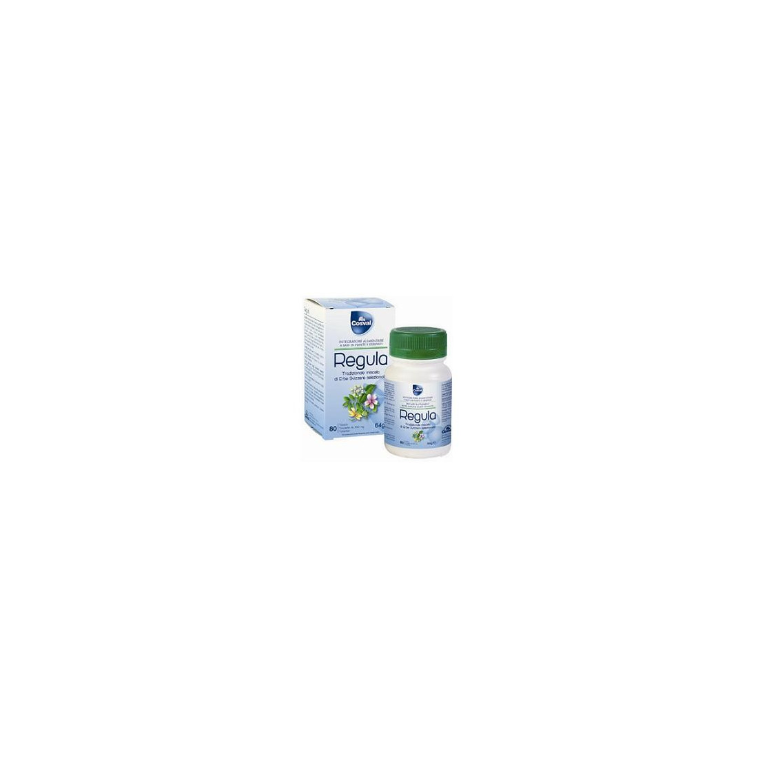 REGULATION MISC ERBE SVIZZ 80TAV