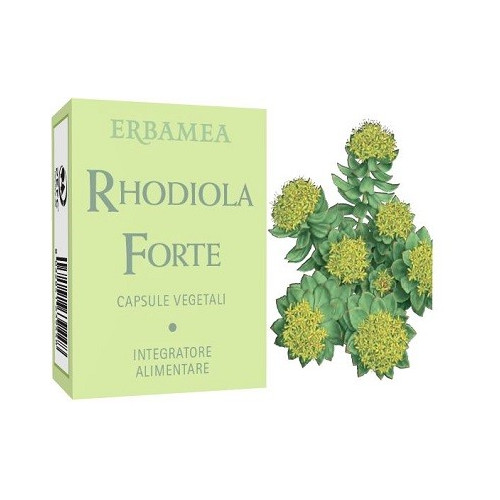 RHODIOLA FOR 24CPS