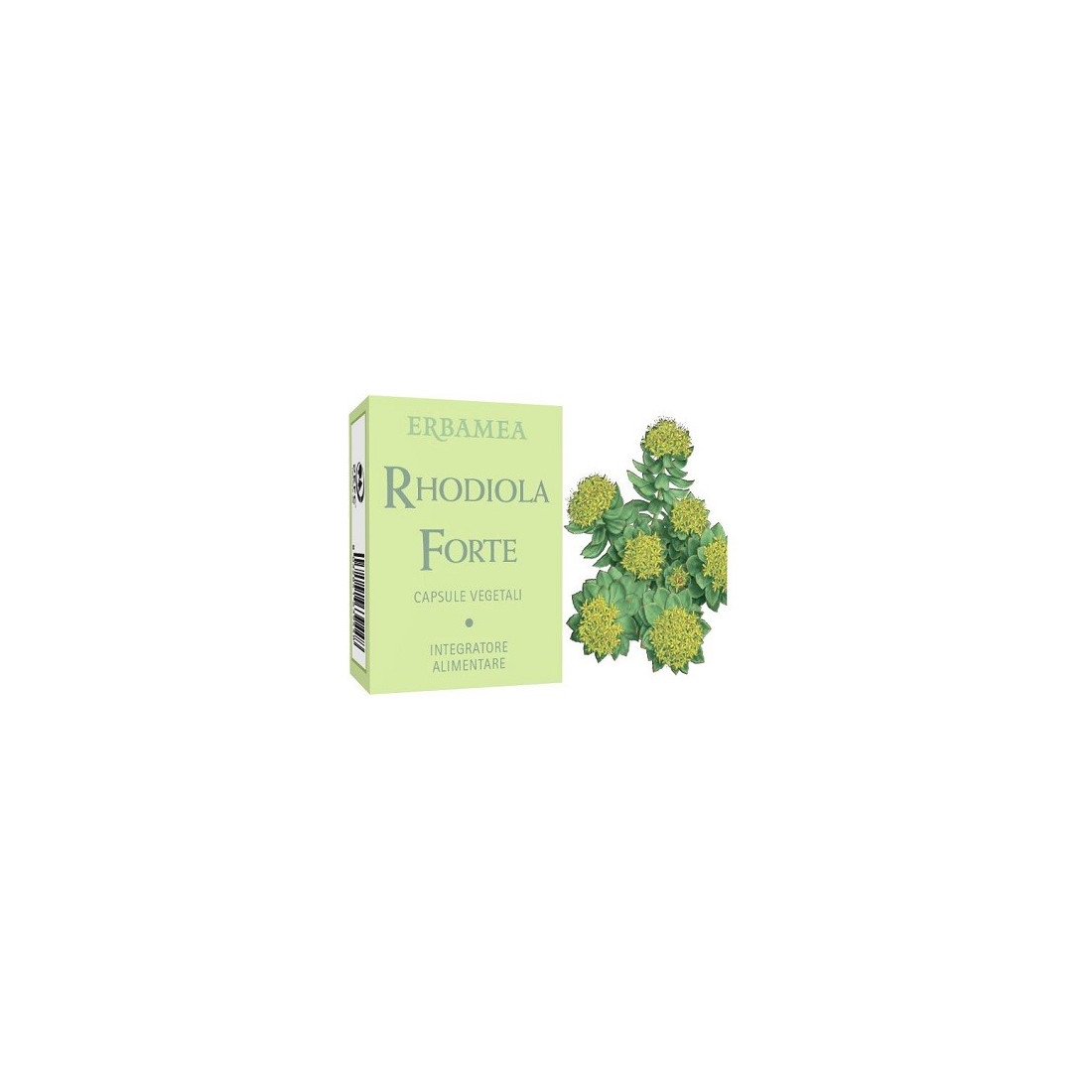 RHODIOLA FORTE 24CPS