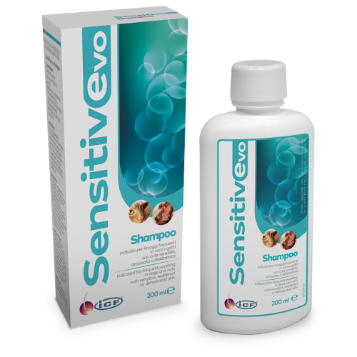 SHAMPOO