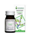 GUGGUL 60CPS