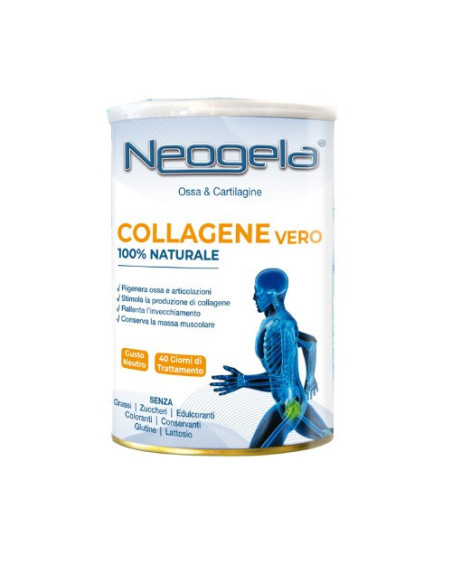 NEOGELA POLVERE 400G