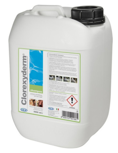 CLOREXYDERM SHAMPOO 5L