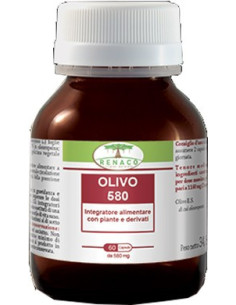 OLIVO 580 60CPS