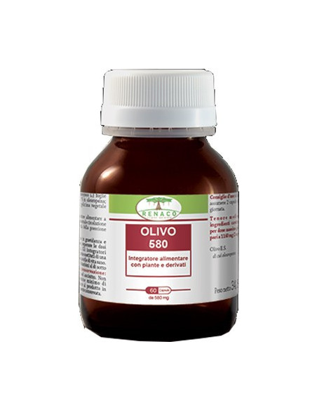 OLIVO 580 60CPS