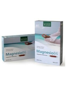 MAGNESIO B6 20AMPOLLE