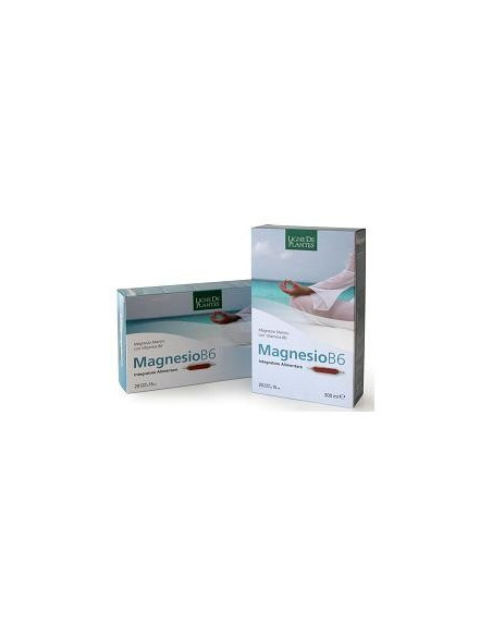 MAGNESIO B6 20AMPOLLE