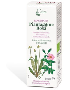 PIANTAGGINE RA MACERATO CAIRA
