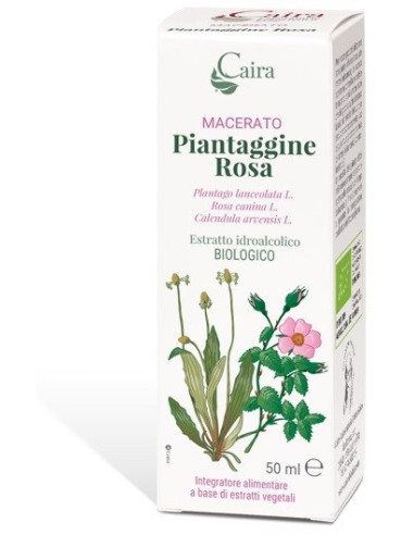 PIANTAGGINE RA MACERATO CAIRA