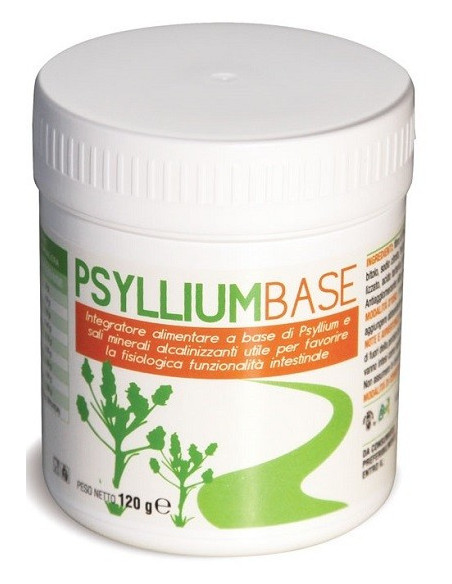 PSYLLIUM BASE POLVERE 120G
