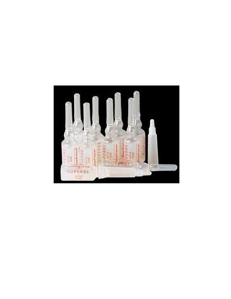 REPHASE SUPERBE LIFTUP SENO20F