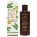 SHAMPOO PROT CAP COLOR 200ML