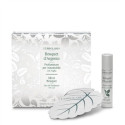 BOUQUET D'ARG PROF AUTO FOGLIA