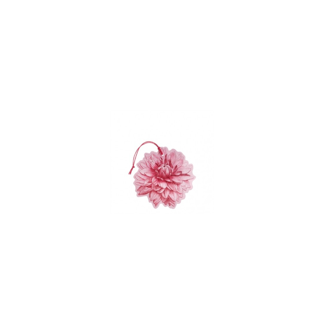 FIORE PROFUMATO1PZ