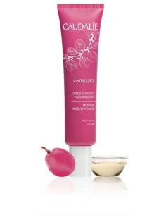 VINOSOURCE FONDENTE NUTR 40ML