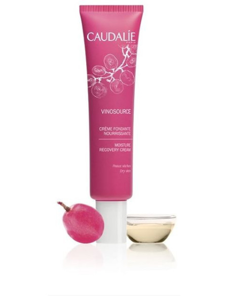 VINOSOURCE FONDENTE NUTR 40ML