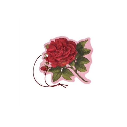 ROSA PURPURE FIORE PROF M/USO