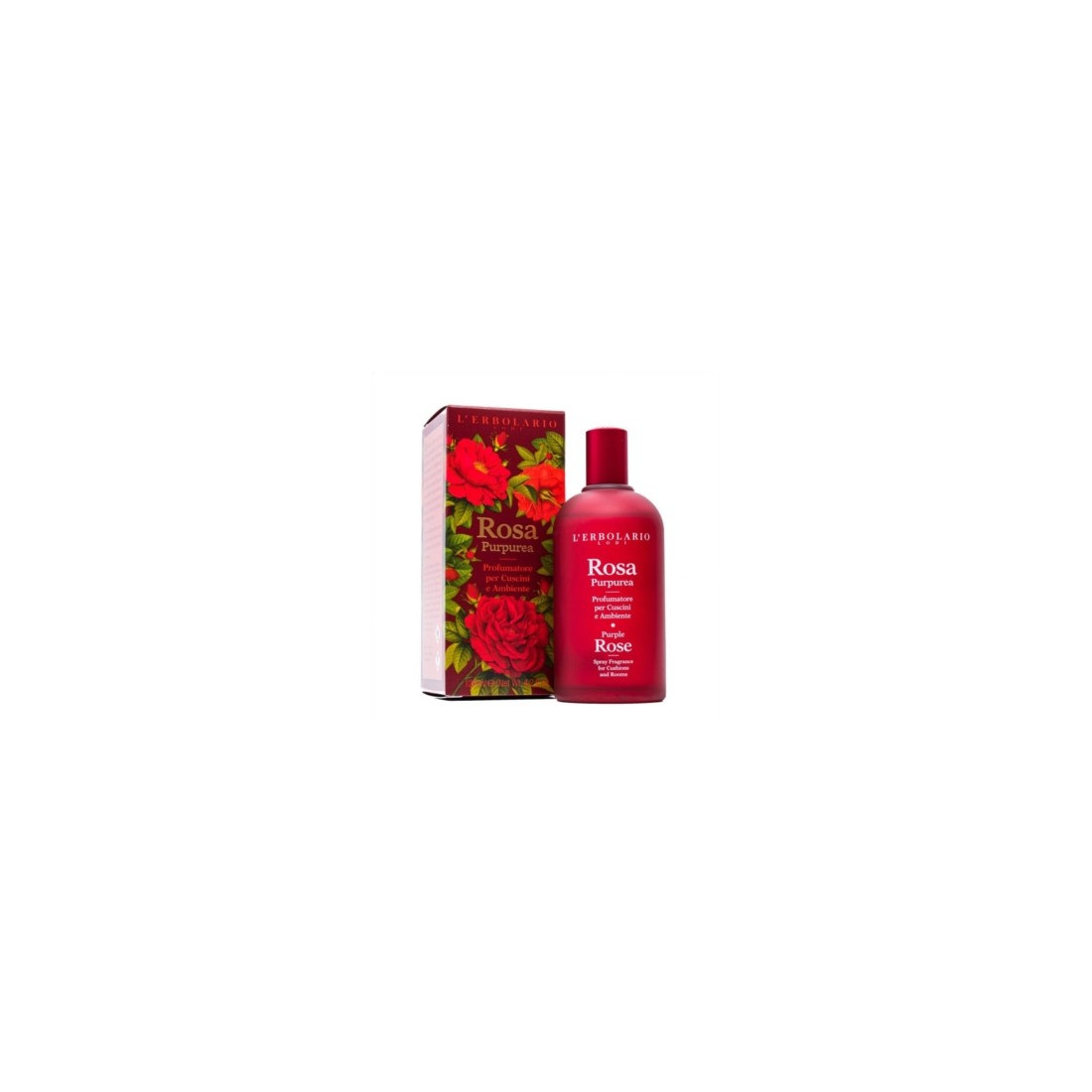 ROSA PURPUREA PROF CUSC&AMB
