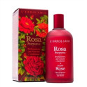 ROSA PURPUREA PROF CUSC&AMB