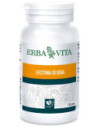 LECITINA SOIA 120PRL