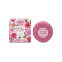 SUMMARY OF SAPONE PROF 100G